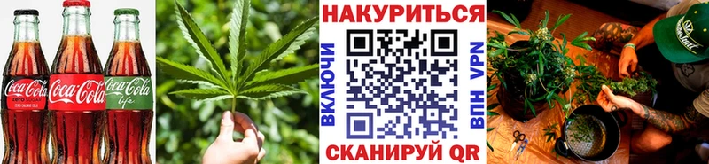 закладка  Новороссийск  Cannafood конопля 