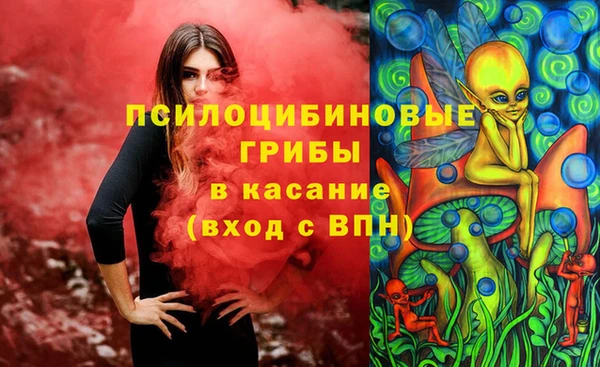 ПСИЛОЦИБИНОВЫЕ ГРИБЫ Белокуриха