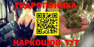 таблы Лесосибирск