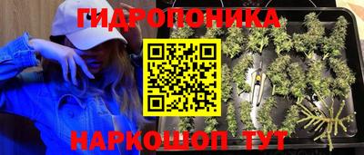 ALPHA PVP Краснознаменск
