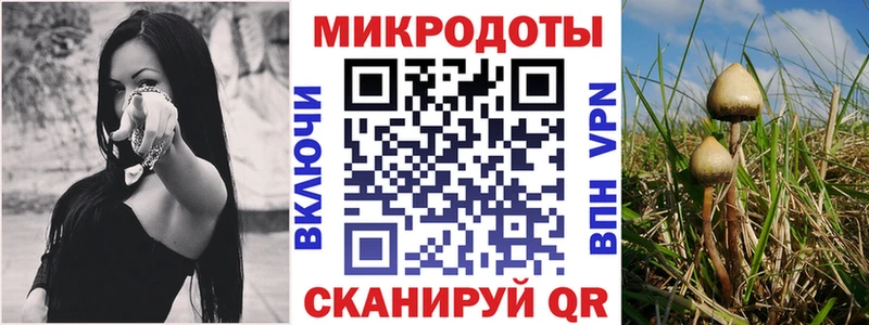Галлюциногенные грибы ЛСД  omg ссылка  Новороссийск 
