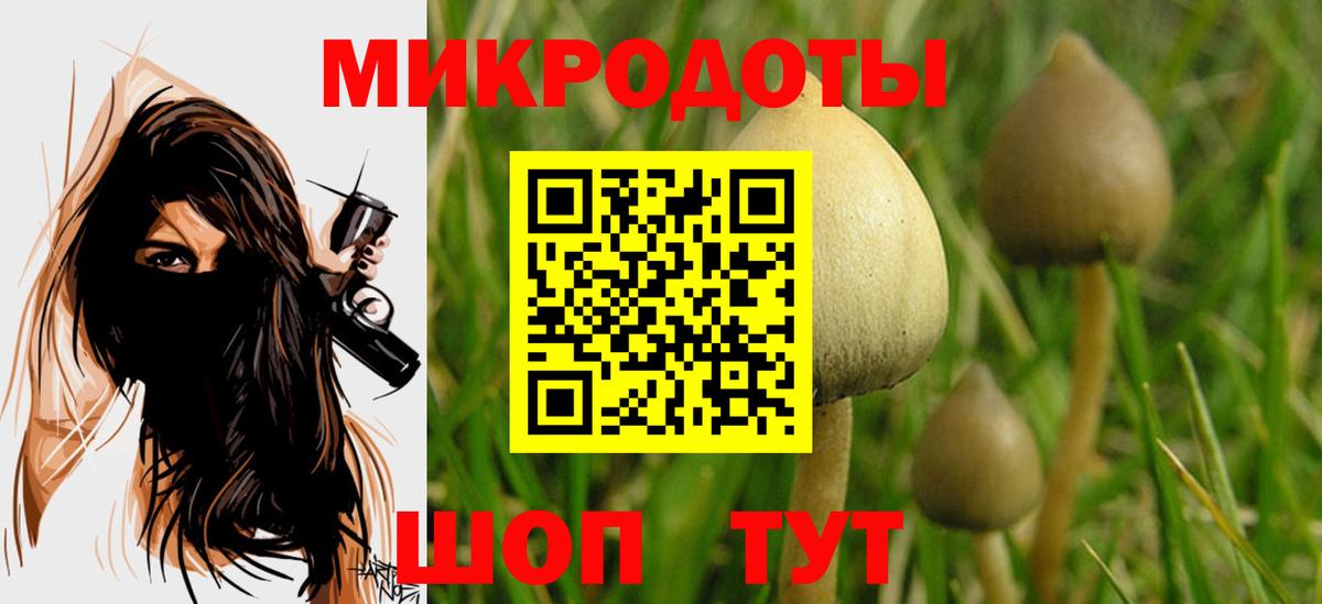 Новороссийск  Галлюциногенные грибы Psilocybe  Вход с VPN  Псилоцибиновые грибы мухоморы 