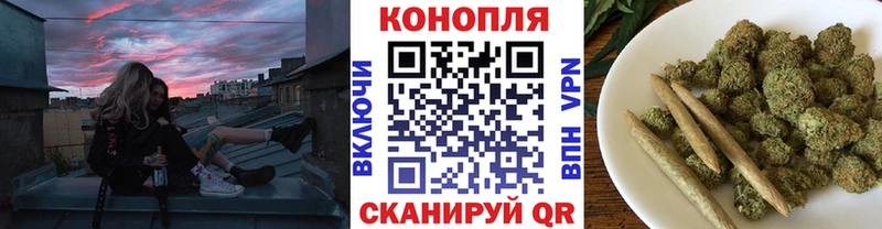 Марихуана семена  Новороссийск 